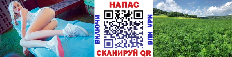 Бошки марихуана планчик  MEGA ссылка  Слюдянка  где купить  